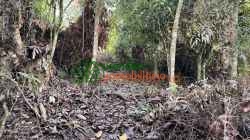FINCA EN VENTA BUCARAMANGA - ALTO DE LOS PADRES