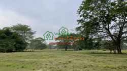 FINCA GANADERA EN VENTA ENTRE SABANA DE TORRES - SAN ALBERTO Y SAN MARTIN