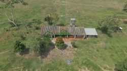 FINCA GANADERO BUFALERO - PALMERA EN VENTA SABANA DE TORRES