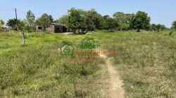 FINCA GANADERO BUFALERO - PALMERA EN VENTA SABANA DE TORRES