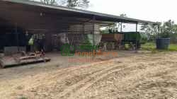 FINCA PALMICULTORA EN VENTA SABANA DE TORRES