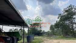 FINCA PALMICULTORA EN VENTA SABANA DE TORRES