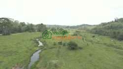 FINCA GANADERA EN VENTA SABANA DE TORRES