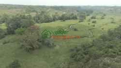 FINCA GANADERA EN VENTA SABANA DE TORRES
