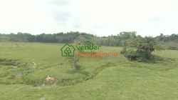 FINCA GANADERA EN VENTA SABANA DE TORRES