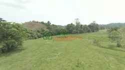 FINCA GANADERA EN VENTA SABANA DE TORRES
