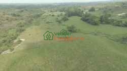 FINCA GANADERA EN VENTA SABANA DE TORRES