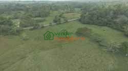 FINCA GANADERA EN VENTA SABANA DE TORRES