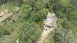 FINCA GANADERA EN VENTA SABANA DE TORRES