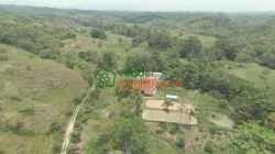 FINCA GANADERA EN VENTA SABANA DE TORRES
