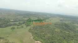 FINCA GANADERA EN VENTA SABANA DE TORRES