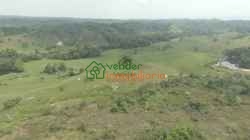 FINCA GANADERA EN VENTA SABANA DE TORRES