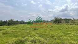 FINCA GANADERA EN VENTA SABANA DE TORRES