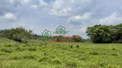 FINCA GANADERA EN VENTA SABANA DE TORRES