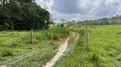 FINCA GANADERA EN VENTA SABANA DE TORRES