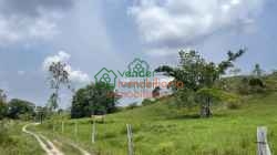 FINCA GANADERA EN VENTA SABANA DE TORRES