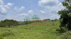 FINCA GANADERA EN VENTA SABANA DE TORRES