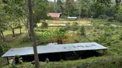 FINCA GANADERA EN VENTA SABANA DE TORRES