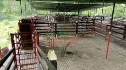 FINCA GANADERA EN VENTA SABANA DE TORRES