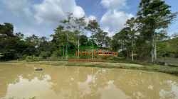FINCA GANADERA EN VENTA SABANA DE TORRES