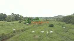 FINCA GANADERA EN VENTA SABANA DE TORRES