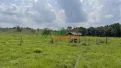 FINCA GANADERA EN VENTA SABANA DE TORRES