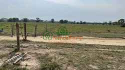 finca ganadera en venta sabana de torres