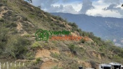 ANILLO VIAL