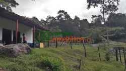 finca en venta piedecuesta