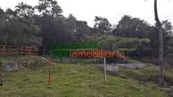 finca en venta piedecuesta