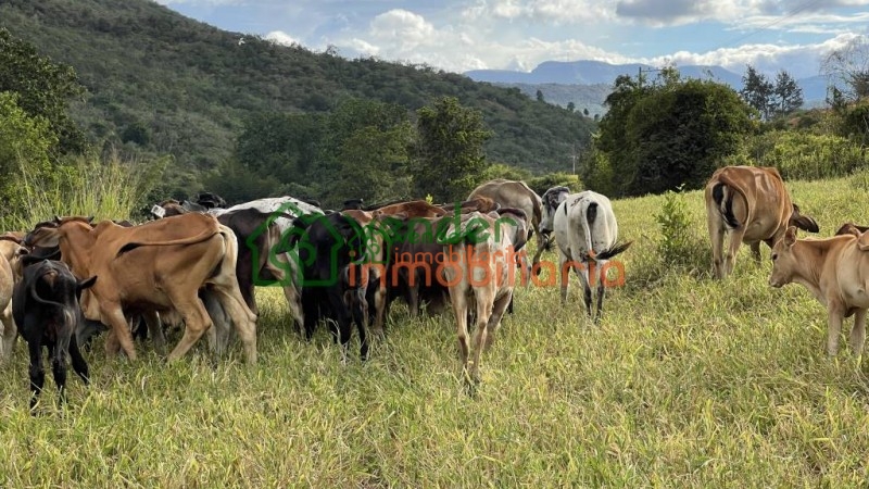 lote en venta guatiguará - via girón