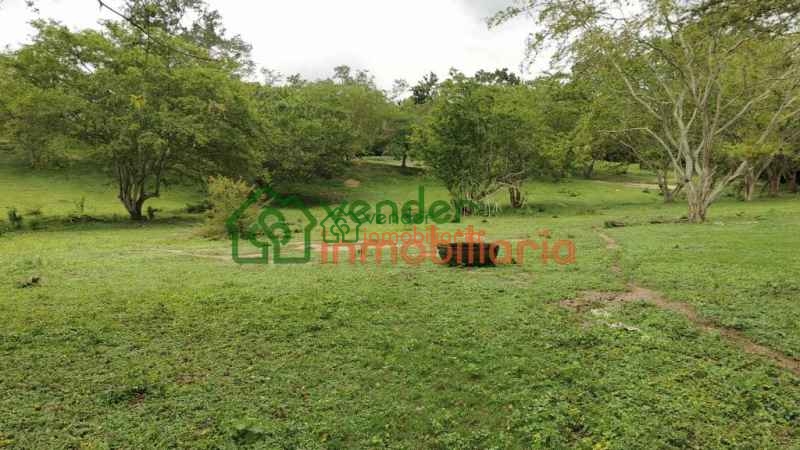 ANILLO VIAL FLORIDABLANCA - GIRON 