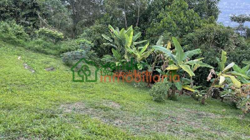 FINCA EN VENTA BUCARAMANGA - ALTO DE LOS PADRES