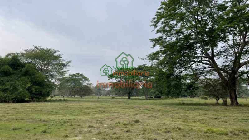 FINCA GANADERA EN VENTA ENTRE SABANA DE TORRES - SAN ALBERTO Y SAN MARTIN