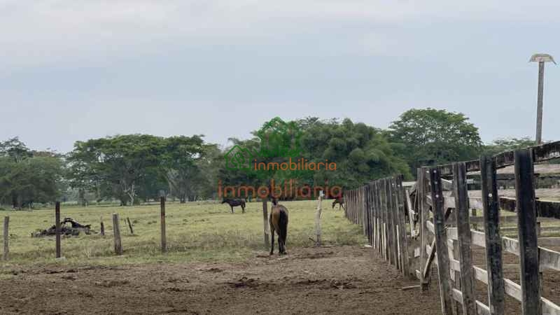 FINCA GANADERA EN VENTA ENTRE SABANA DE TORRES - SAN ALBERTO Y SAN MARTIN