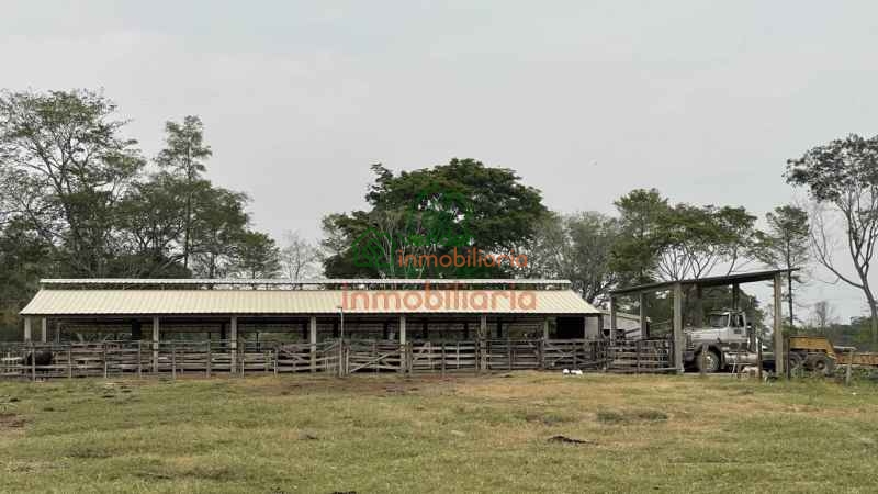 FINCA GANADERA EN VENTA ENTRE SABANA DE TORRES - SAN ALBERTO Y SAN MARTIN
