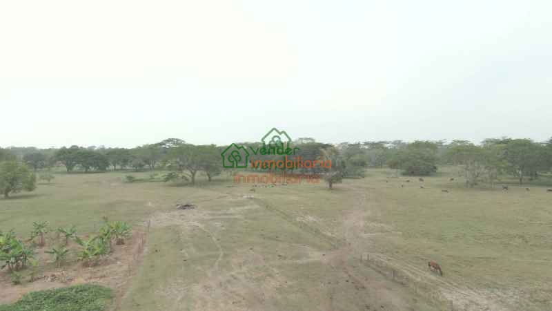 FINCA GANADERA EN VENTA ENTRE SABANA DE TORRES - SAN ALBERTO Y SAN MARTIN