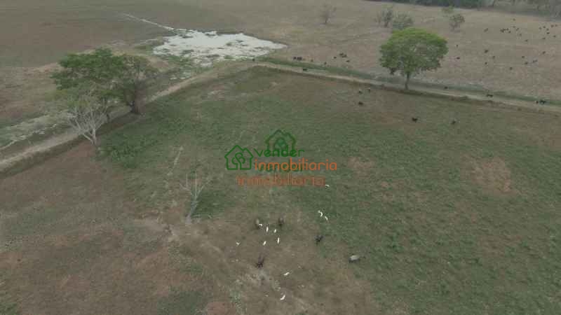 FINCA GANADERA EN VENTA ENTRE SABANA DE TORRES - SAN ALBERTO Y SAN MARTIN