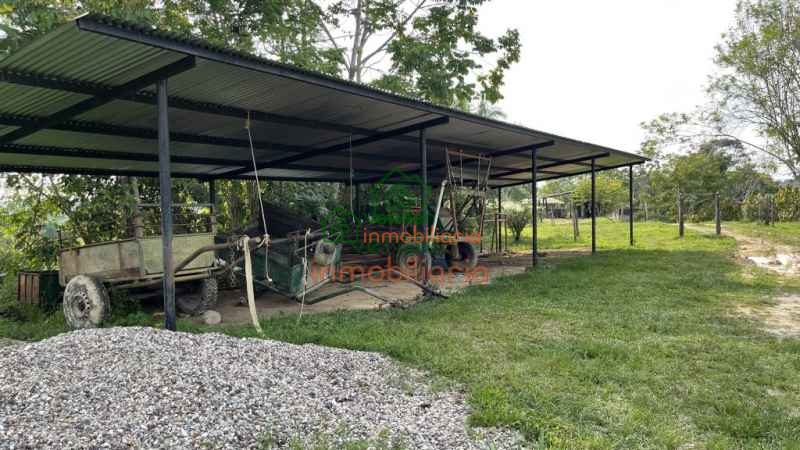 FINCA PALMICULTORA EN VENTA SABANA DE TORRES