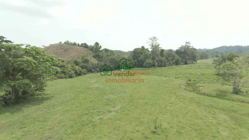FINCA GANADERA EN VENTA SABANA DE TORRES