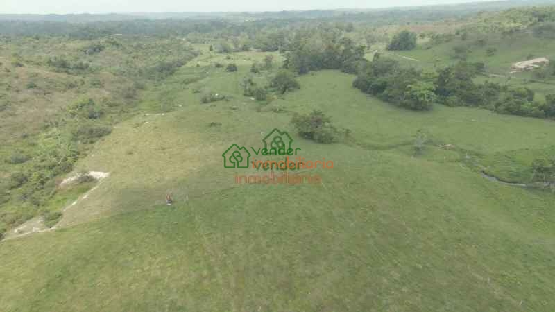 FINCA GANADERA EN VENTA SABANA DE TORRES