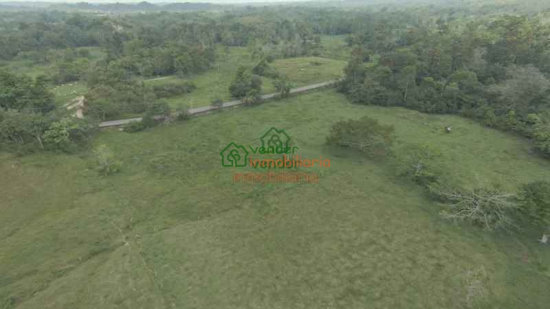 FINCA GANADERA EN VENTA SABANA DE TORRES