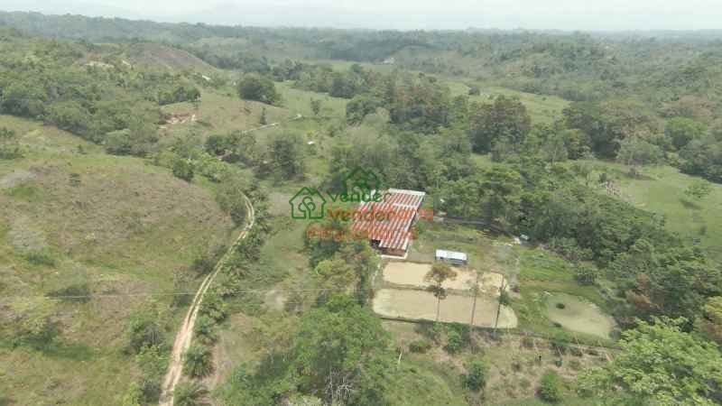 FINCA GANADERA EN VENTA SABANA DE TORRES