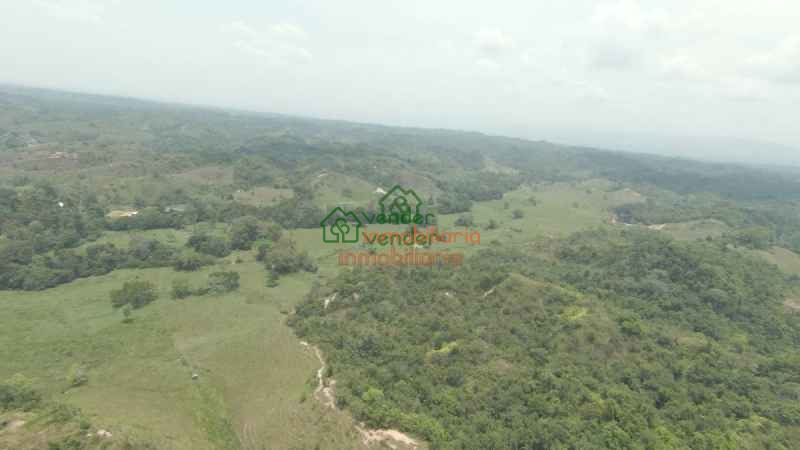 FINCA GANADERA EN VENTA SABANA DE TORRES