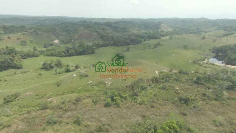 FINCA GANADERA EN VENTA SABANA DE TORRES