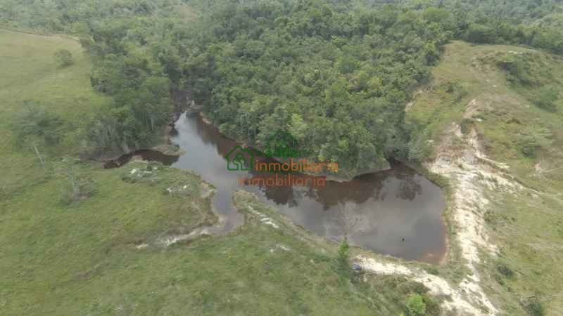 FINCA GANADERA EN VENTA SABANA DE TORRES