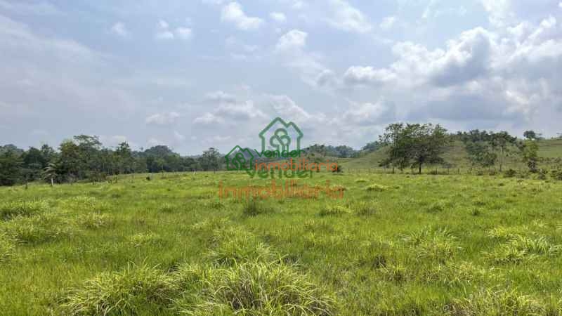 FINCA GANADERA EN VENTA SABANA DE TORRES