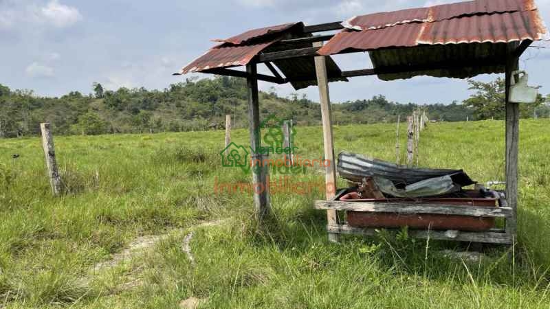 FINCA GANADERA EN VENTA SABANA DE TORRES