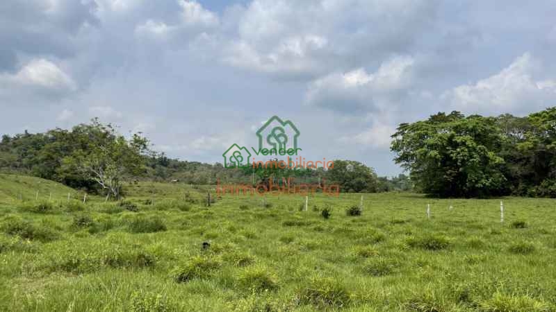 FINCA GANADERA EN VENTA SABANA DE TORRES