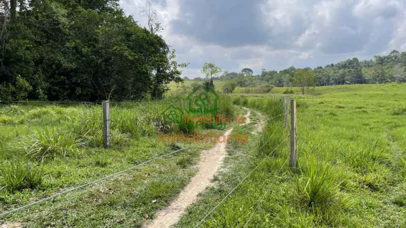 FINCA GANADERA EN VENTA SABANA DE TORRES